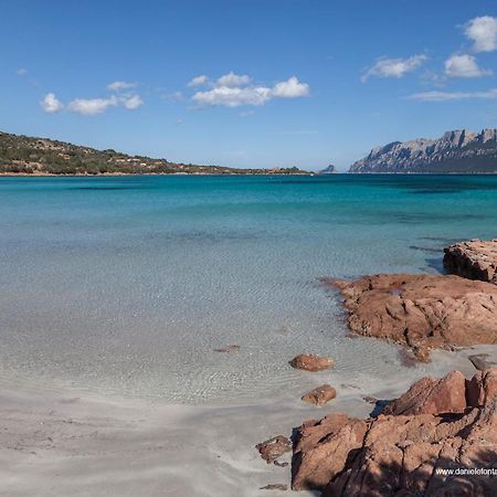 Aria Di Vacanza - Gelsi Olbia Kültér fotó