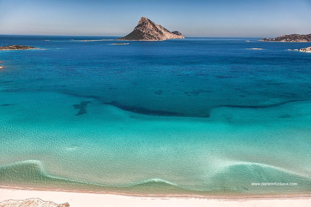 Aria Di Vacanza - Gelsi Olbia Kültér fotó