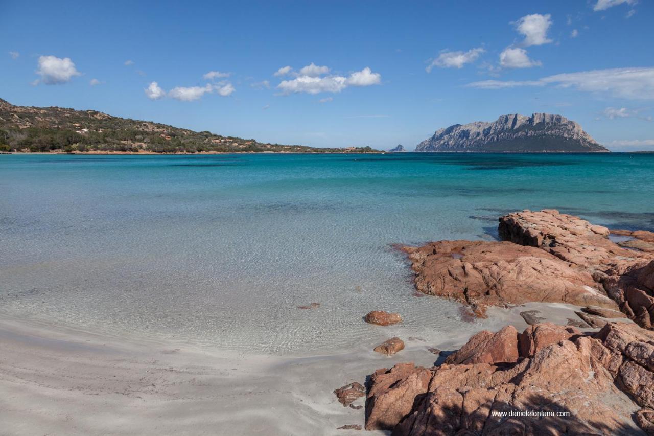 Aria Di Vacanza - Gelsi Olbia Kültér fotó
