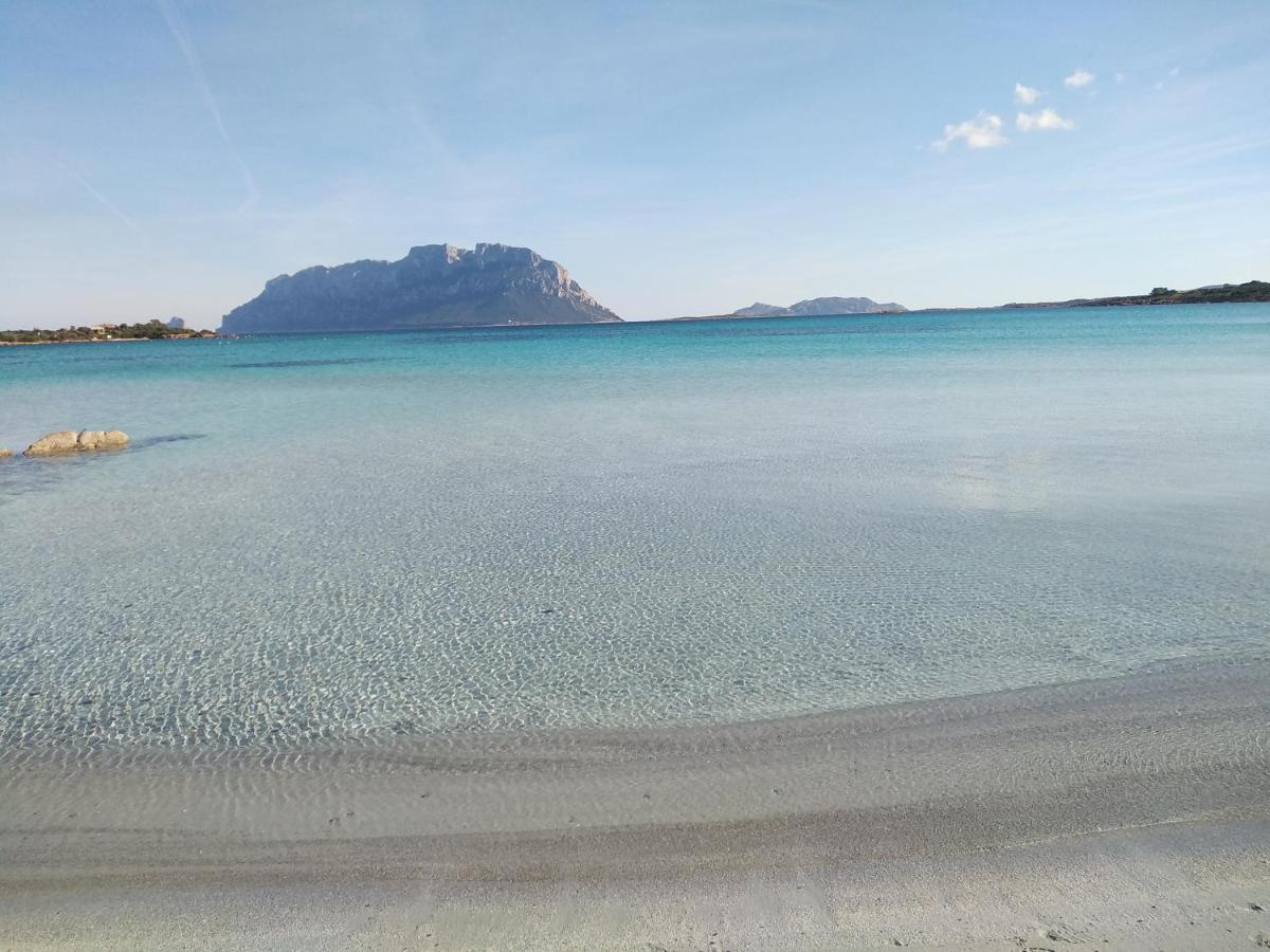 Aria Di Vacanza - Gelsi Olbia Kültér fotó